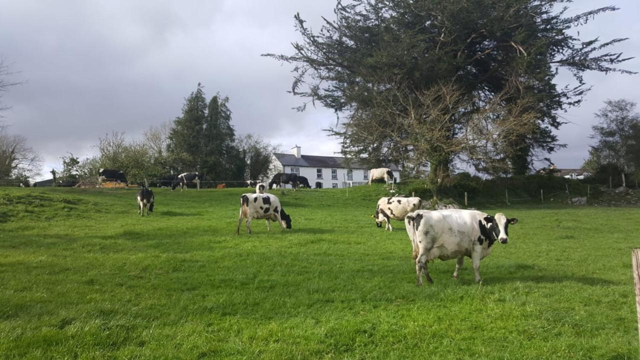 Bed and Breakfast Gortamullen House, Kenmare Exteriér fotografie
